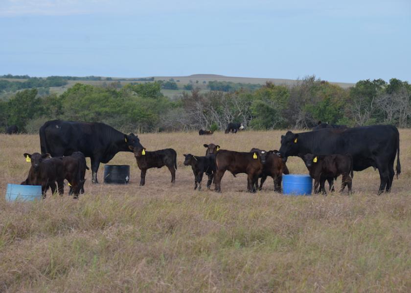 Quality mineral supplements are an investment in the overall performance of your cattle herd.