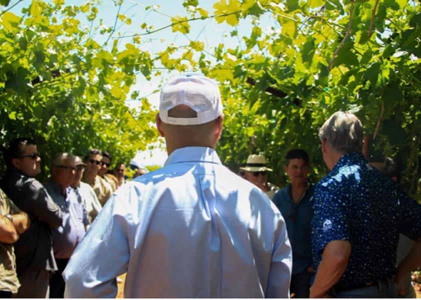 To gain a firsthand look at its produce, Fresh Farms recently visited the Las Mercedes grape field, where the team toured the fields with engineers who explained the process and extra care for the multiple grape varieties.