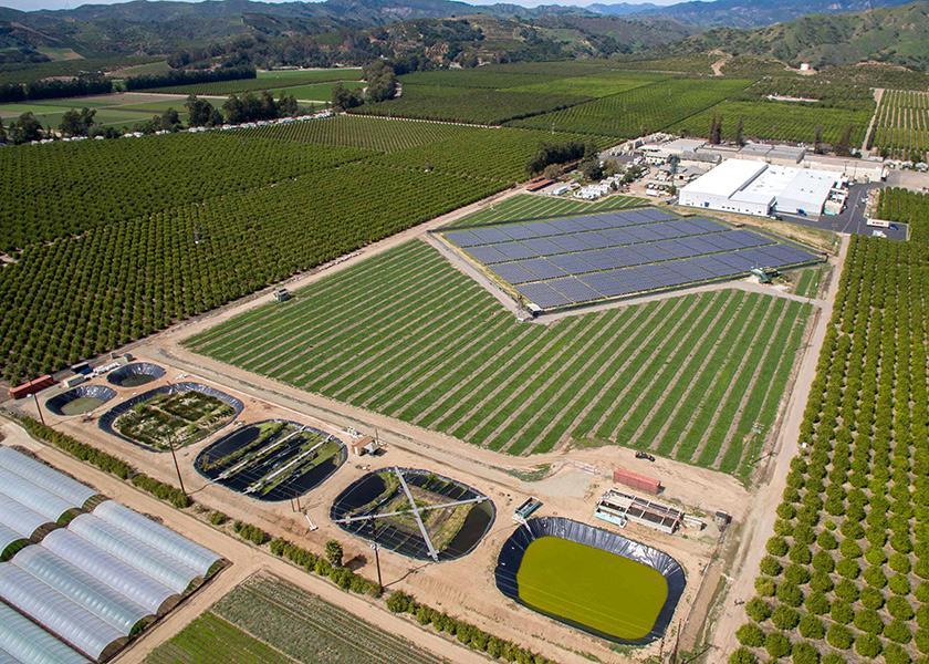 Santa Paula, Calif.-based Limoneira has several solar installations throughout the company that reduce its electricity rates and produce clean energy. “Sustainability is engraved in our DNA,” says Edgar Gutierrez, vice president of farming operations.
