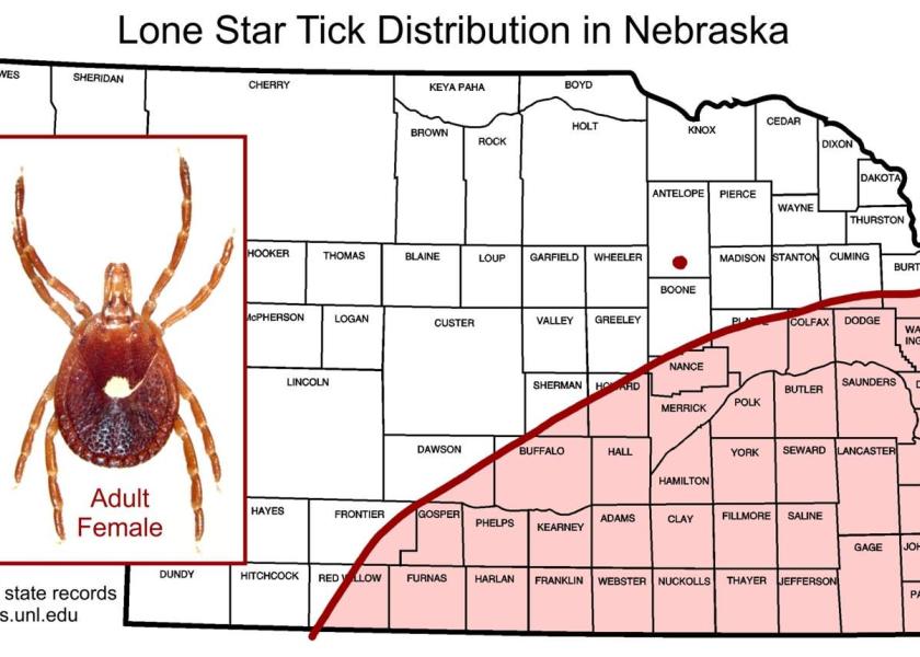 Distribution of lone star ticks in Nebraska.