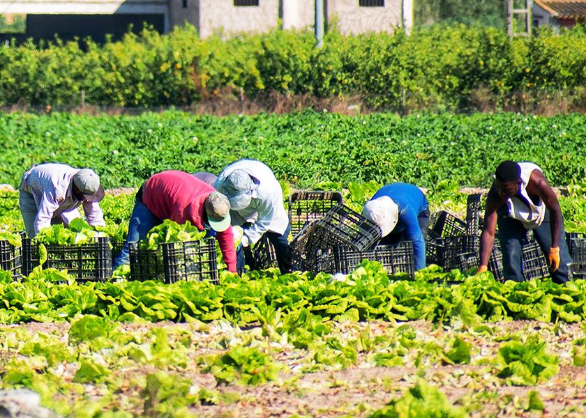 The proposed new rule would strengthen protections for farmworkers in the H-2A program and help prevent abuses that undermine wages and standards for all agricultural workers, according to the Department of Labor.