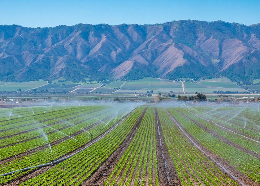 While the majority of Salinas Valley acreage in Central California was not greatly affected by two rounds of atmospheric rivers and floods, some growers are leveraging other growing regions to ensure continuity of supply.