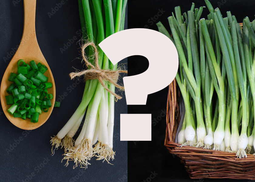 What's the difference between scallions and spring onions?