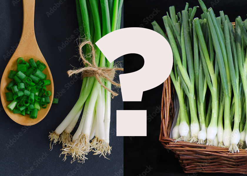 Do You Know the Differences Between Green Onions, Scallions