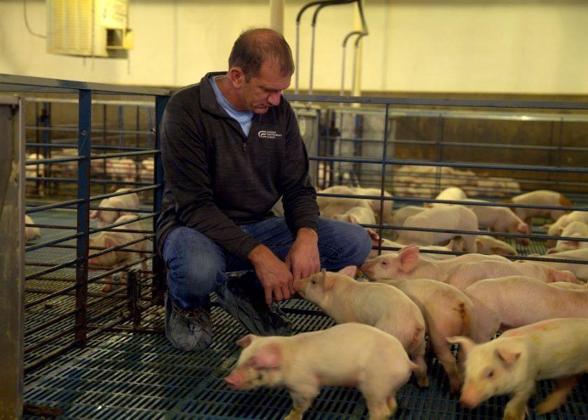 “Our concern is if other states start adopting these types of rules, how long can we continue to raise pigs the way that we think they need to be raised?” Scott Hays explains.