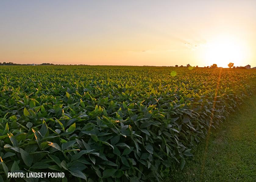 A new report by Aimpoint Research shows restricting glyphosate would lead to more tillage and fewer cover crops, which could result in the release of up to 34 million tons of CO2, equivalent to the emission of approximately 6.8 million cars.