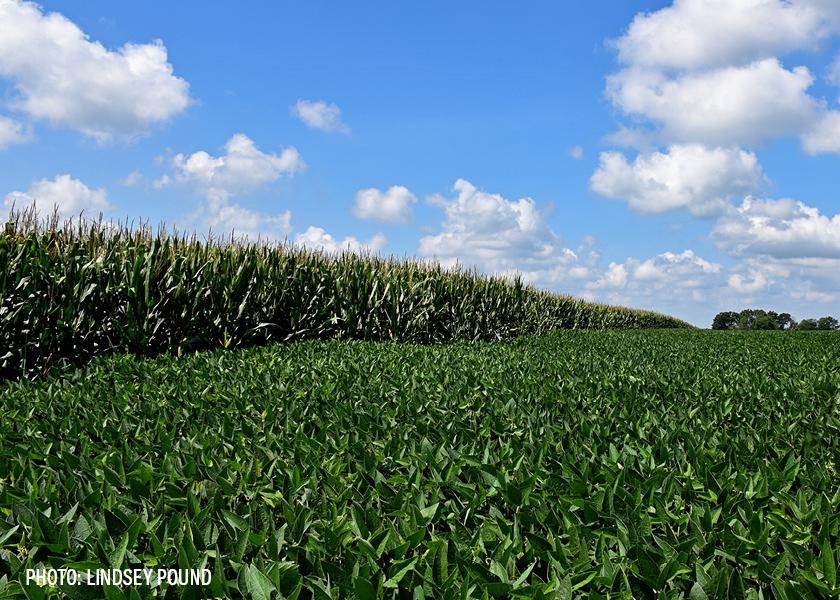 Corn, soybean fields 