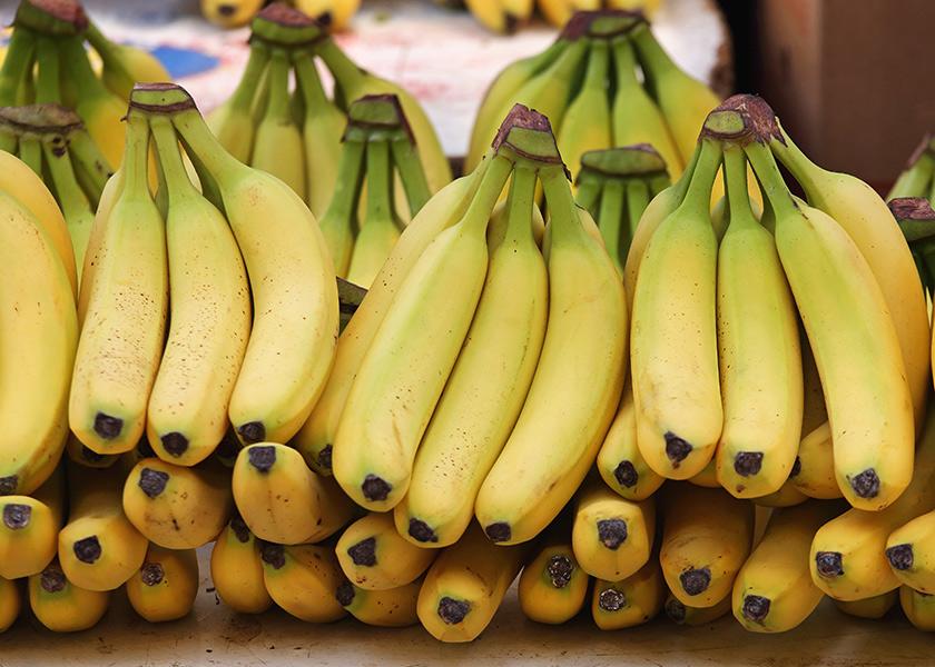 The banana is king, as 63% of consumers polled by The Packer’s Fresh Trends 2023 said they purchased the tropical fruit in the past year.