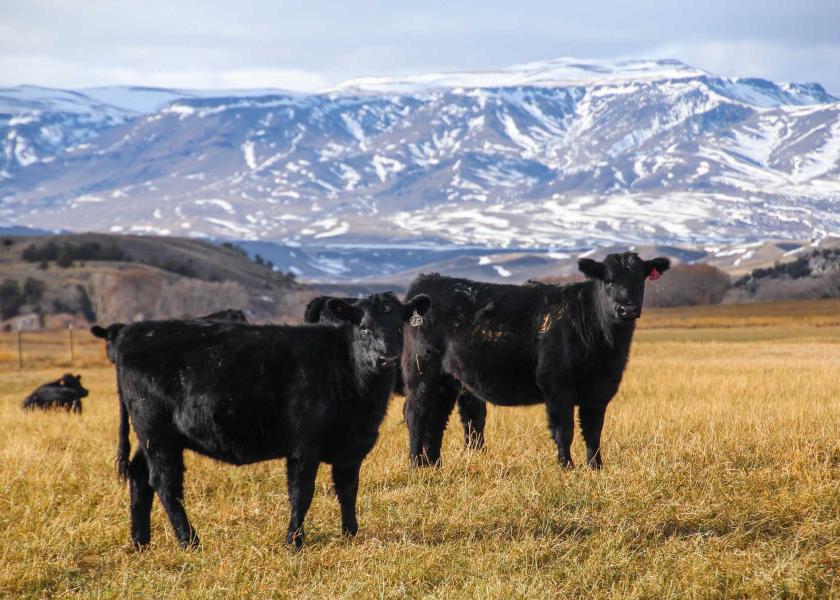 JA Land & Cattle, Wyoming