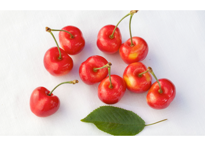 Chelan Fresh will continue to feature Orondo Ruby variety cherries, which will begin harvest around June 25. That’s about 10 days later than usual. Photo courtesy Chelan Fresh