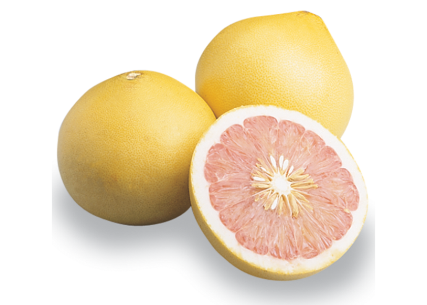 The pummelo is the largest citrus fruit sold commercially.