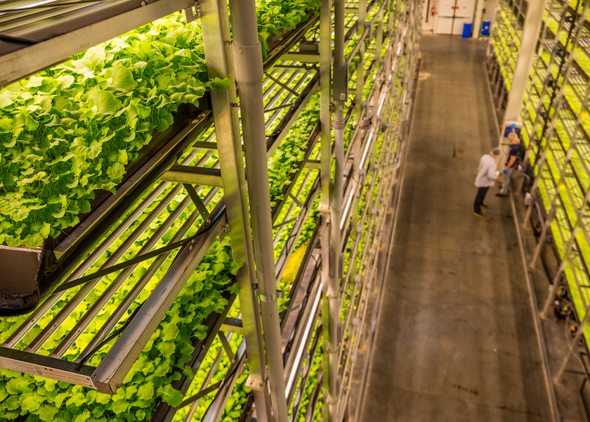 AeroFarms filed for Chapter 11 bankruptcy on June 8.