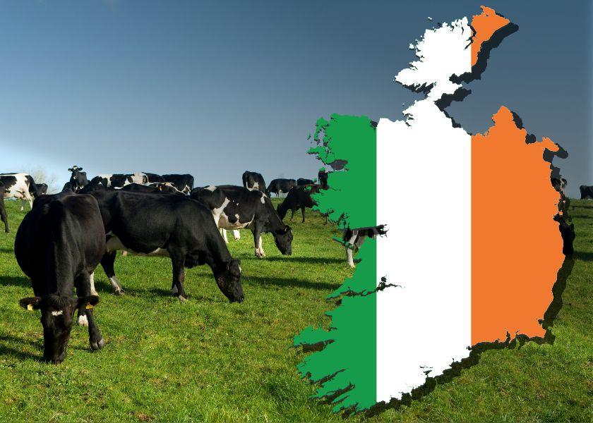 The Irish government estimates the plan would cost the nation $640 million and assist the agricultural industry in reducing greenhouse gas emissions by 25% over the next seven years. 