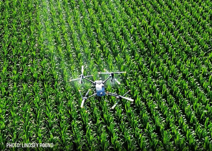 Agriculture drone spraying a cornfield