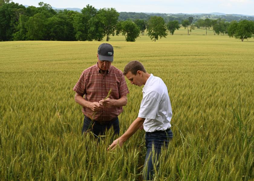 Huma Chief Marketing Officer, Fred Nichols (pictured left), along with Huma Regional Agronomist, Barrett Smith (at right), study the plant health of this year's wheat crop.