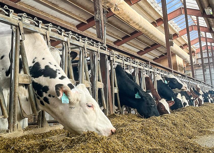 The total U.S. dairy cow population hit a 20-month peak at 9.446 million cows in March 2023. Since then, the national herd has shrunk each month.