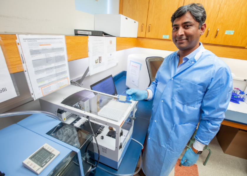 Iowa State University's Veterinary Diagnostic Laboratory (VDL) is set to revolutionize molecular diagnostic testing with the introduction of a cutting-edge machine—the “SmartChip.” Rahul Nelli, a research assistant professor of veterinary diagnostic and production animal medicine, demonstrates the size of SmartChip testing plate, which can process 5,184 individual samples, compared to plates that hold either 96 or 384 wells.