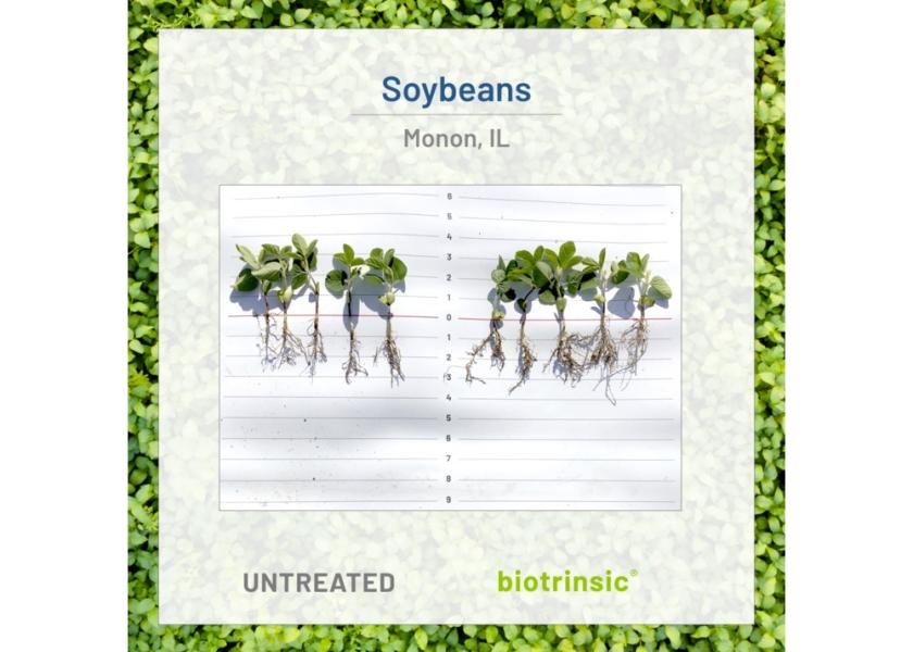 The new bionematicide will combine multiple defense actions, including systemically induced plant protections to fight nematodes. 