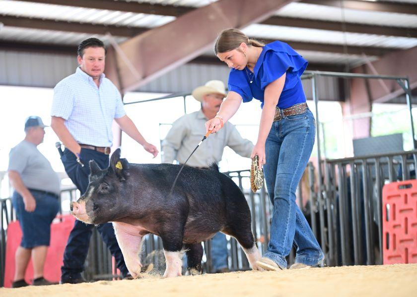 A group of friends pulled together to buy 16-year-old Paizlee Hardin’s barrow in the premium auction. Her sister, Madi (pictured above), showed Paizlee's pig at the Parker County Stock Show for her sister.