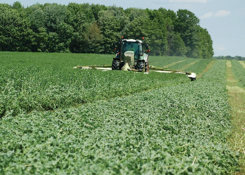 When taking a cutting of any crop, considerations must be made for the nutrients that have been taken from the soil along with the plant matter. 