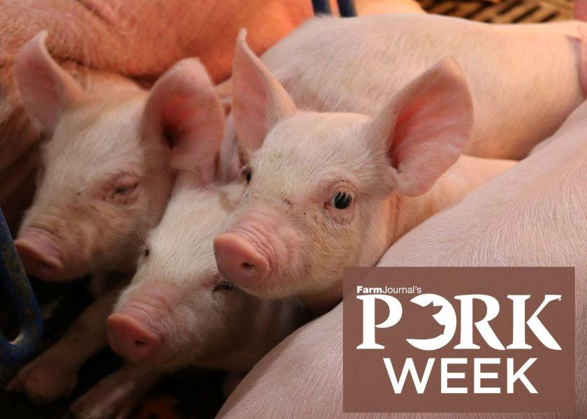 Experts from across the country came together at the 2023 World Pork Expo for an in-depth discussion on what the industry knows – and doesn’t know – about sow longevity and pig survivability.