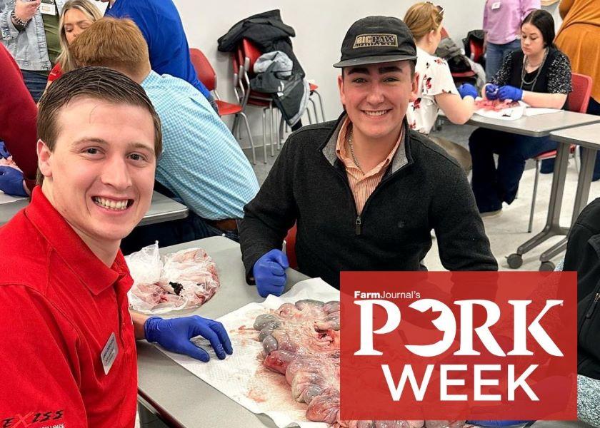 Five young leaders in the National Junior Swine Association and Team Purebred youth swine organizations dig into a hard question: What do we need to do to attract more youth to the pork industry? They share what they believe would get more youth interested in pork industry careers. 