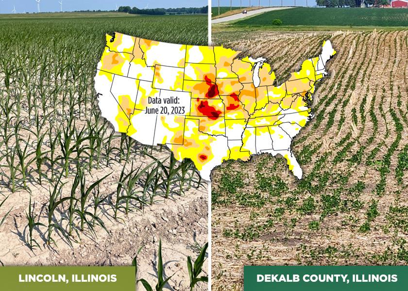 Midwest farmers are on track for a record-high harvest, despite a year of  extreme weather