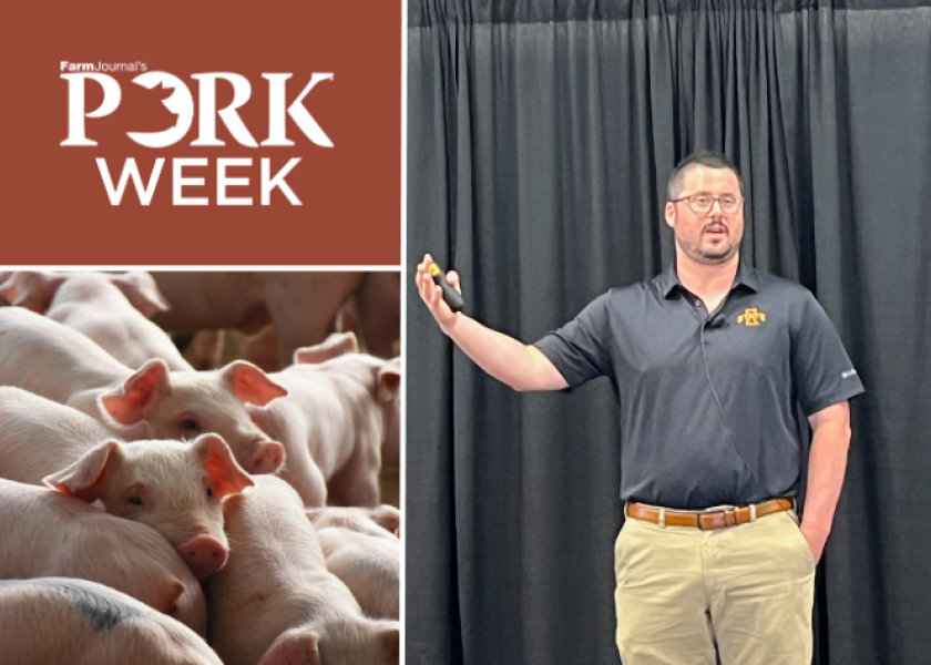 “What’s going to make headlines in the next USDA Hogs and Pigs Report are farrowing numbers,” says Lee Schulz of Iowa State University. He discussed the supply side of pork production at the 2023 World Pork Expo.