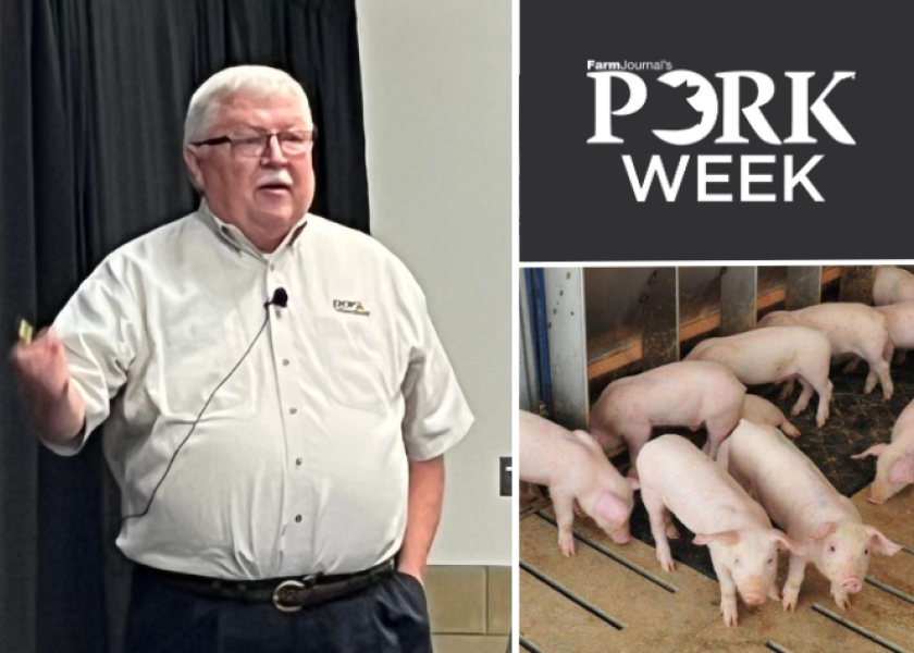 Economists, including Steve Meyer, PhD, an economist with Partners for Production Agriculture, share their insights at World Pork Expo and the bottom line doesn’t look pretty. Still, there are things producers can do to ease the pain.