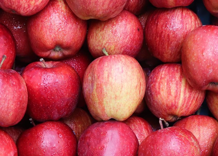 Apples are up in Michigan