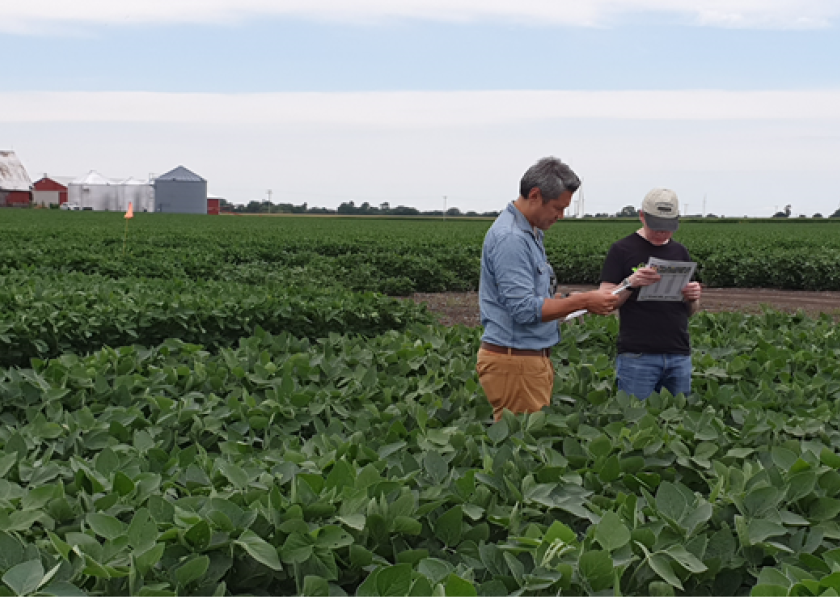 BioLumic CEO Steve Sibulkin, left, and Chief Science Officer Jason Wargent inspect an Illinois soybean trial plot to validate beneficial crop outcomes from the company's proprietary light-signaling seed treatment technology.