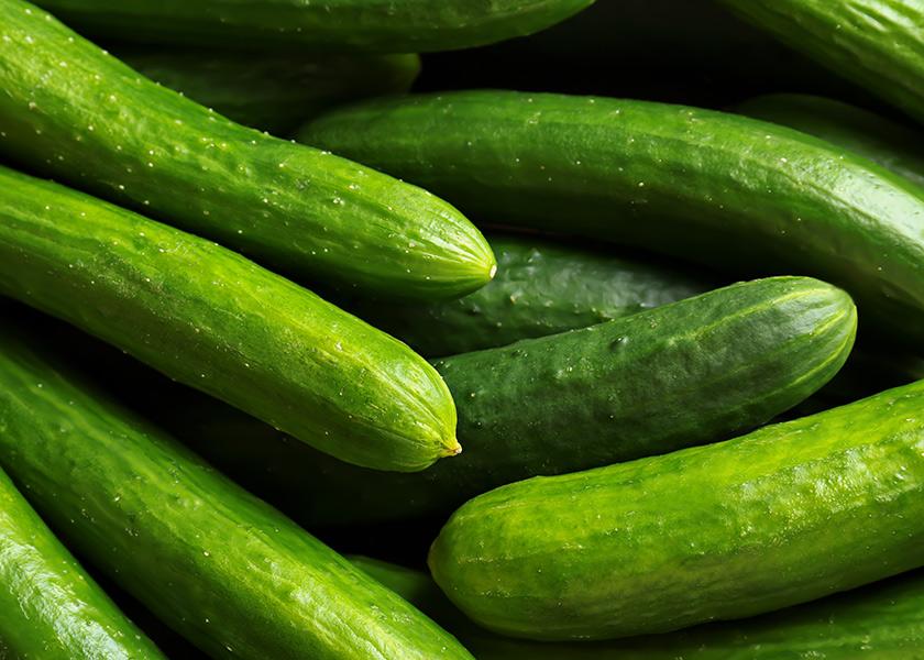 Fresh Organic Seedless Cucumber