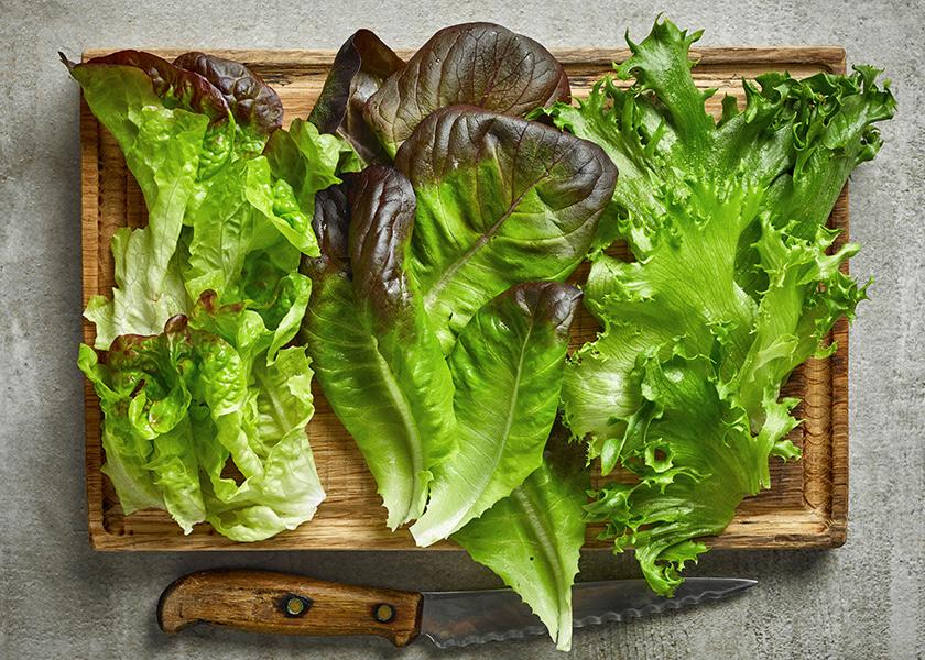 Measuring bulk lettuce purchases (not packaged), Fresh Trends 2023 found that 41% of all consumers said they purchased bulk lettuce in the past year.