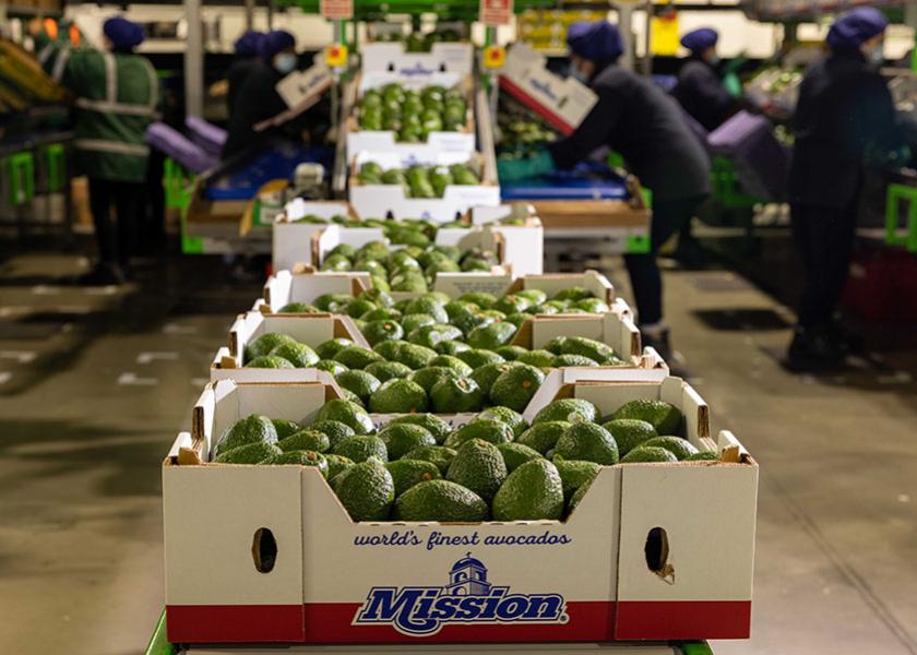 The hass avocado producer says that it is leaning into a thoughtful ripening strategy and its owned Peruvian supply to deliver optimally sized fruit in the summer months.