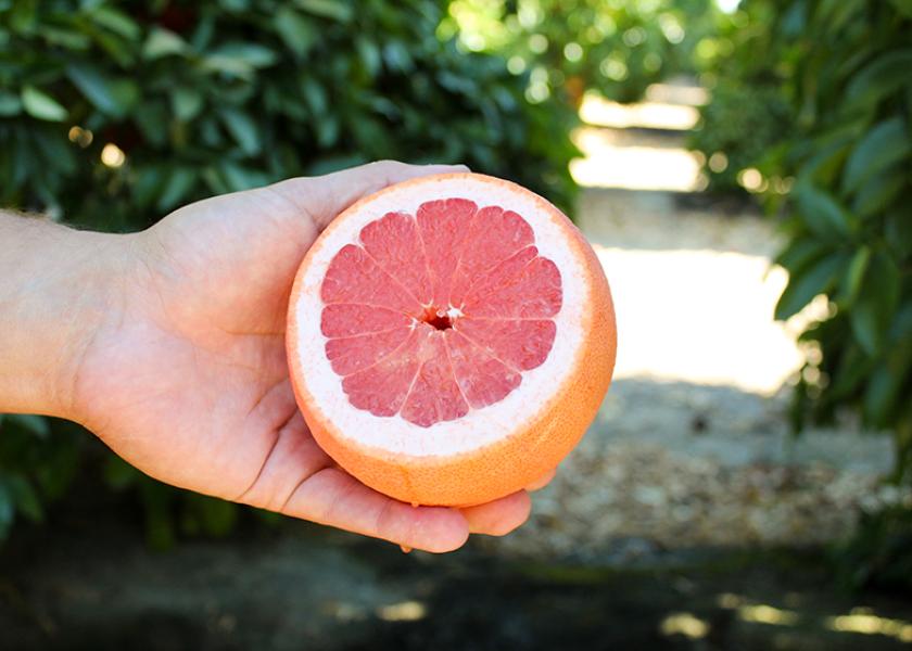 Bee Sweet’s star ruby grapefruit is harvested out of California’s Central Valley and will be available through the summer.