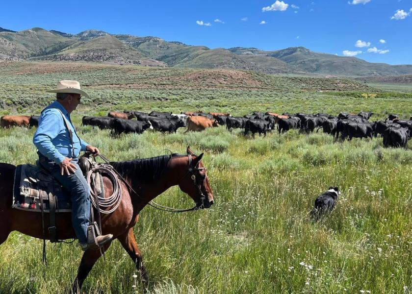 Butch Jensen, Tavaputs Ranch, eastern Utah.