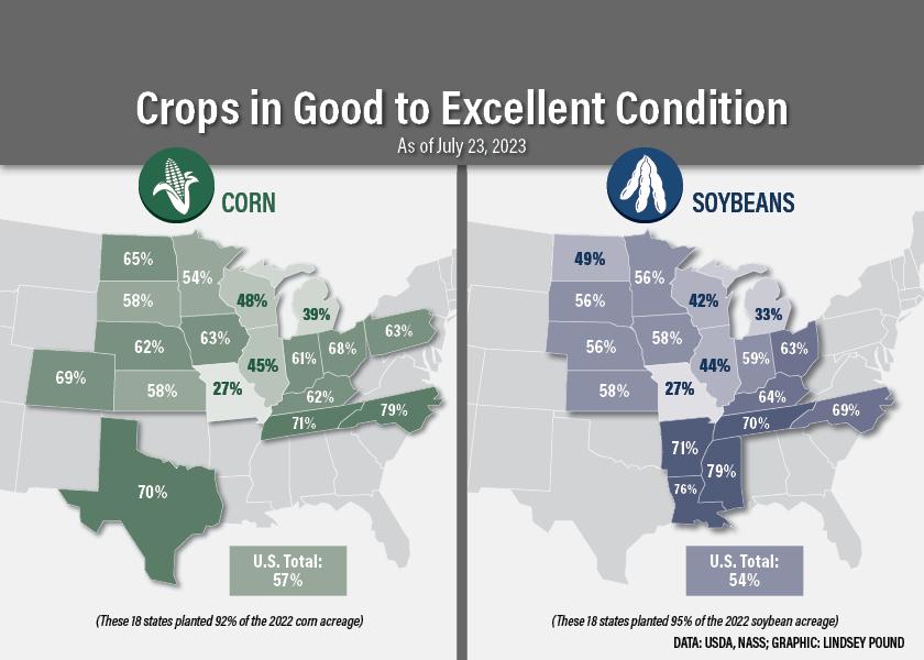 Dan Basse of AgResource Company expects corn and soybean condition ratings to drop 2% to 3% in USDA's weekly crop progress report on Monday. 