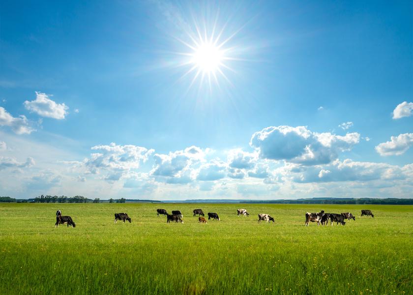 The first half of Summer 2023 in dairy markets will be noted for breaking records, and not in a good way. 