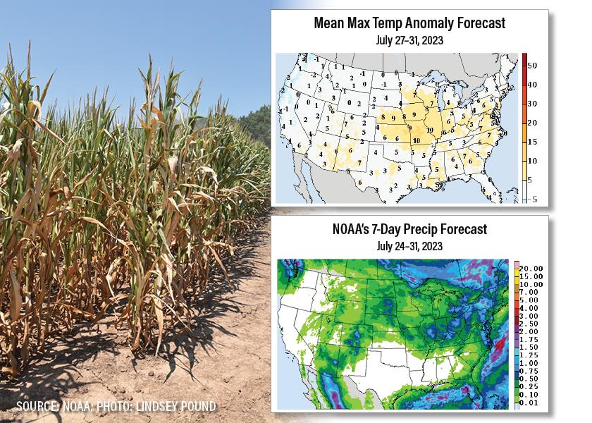USDA meteorologist Brad Rippey says the forecast for the last full week of July looks like the most challenging yet for western Corn Belt producers, posing a risk for additional crop damage. 