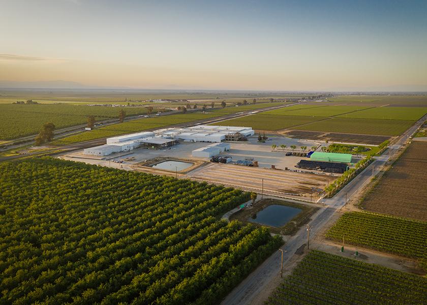 The supply chain and produce marketplace platform is partnering with the table grape grower-shipper to deliver a novel direct-to-retail procurement model with hopes to scale and expand to other categories.