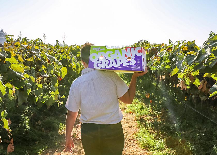 The California grower is harvesting heritage organic grapes as well as Thomcord and Kyoho varieties from July until October. 