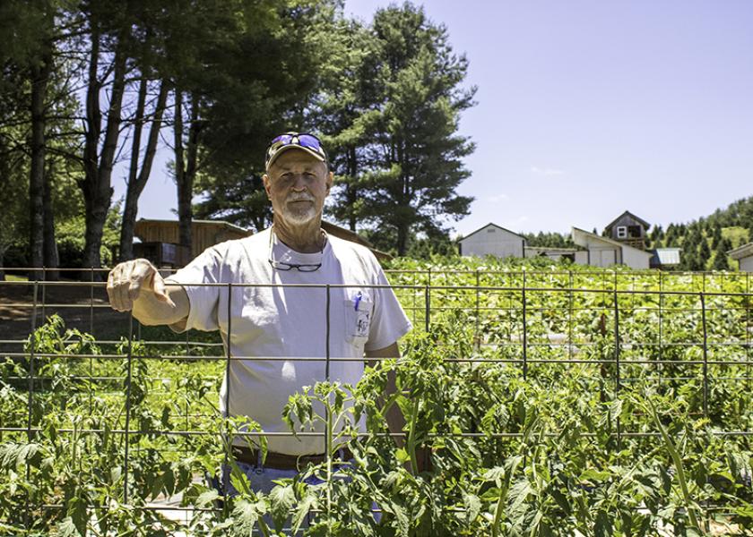 Happy Dirt farmer Sanford Fishel stands by row of field-grown, organic heirloom tomatoes.