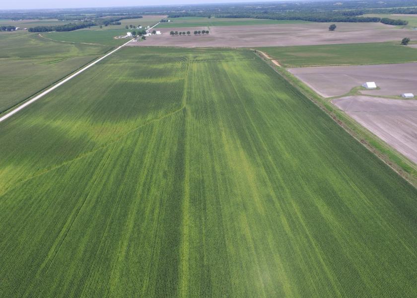 Most of the middle of this field was light in color, signaling nitrogen deficiency.  This could not be seen standing at the edge of the field.  The lighter the plants, the more additional nitrogen they need to reach their full potential.  
