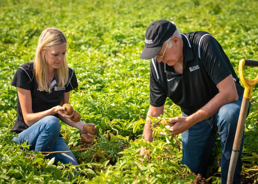 Wendy Alsum, chief operating officer of Alsum Farms, and Larry Alsum, president and CEO, examine  Wisconsin potato crop development. The company is celebrating its 50th anniversary with a public-facing celebration.