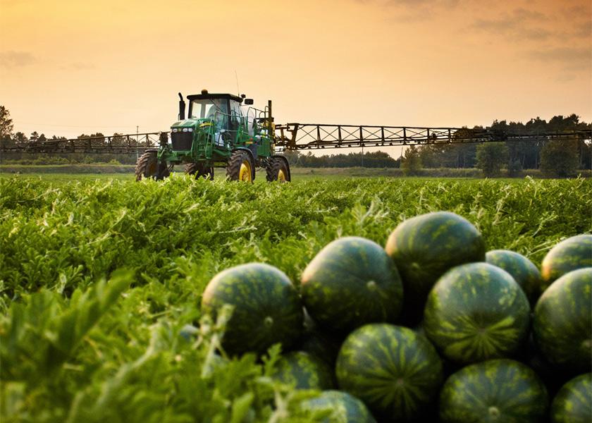 Vittoria, Ontario-based Scotlynn Group has 5,000 acres that include watermelon, sweet corn, asparagus, pumpkins and ginseng in Ontario, which are shipped under the Sweet-Pac label, says Scott Biddle, president and CEO. The company’s volume this season should be similar to last year, he says. 