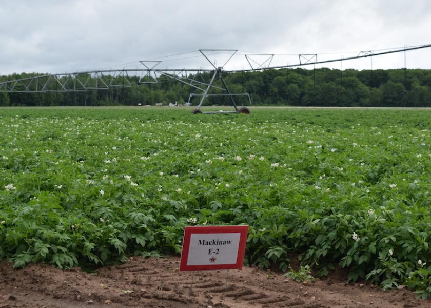 Irrigation helped preserve Wisconsin potato yields this year, industry leaders say.