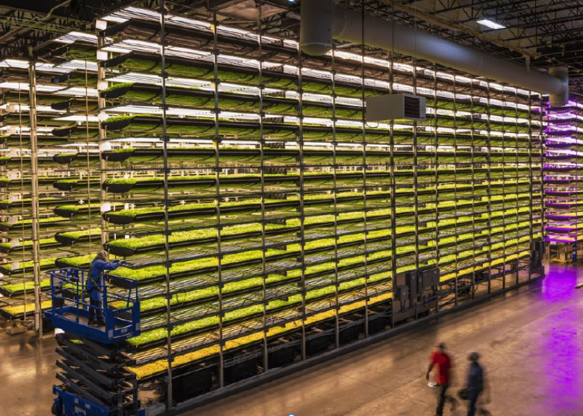 SecondBloom Auctions, a management firm specializing in indoor growing facilities, is auctioning assets from AeroFarms’ vertical farm facility in Newark, N.J., from Aug. 28 to Sept. 28.