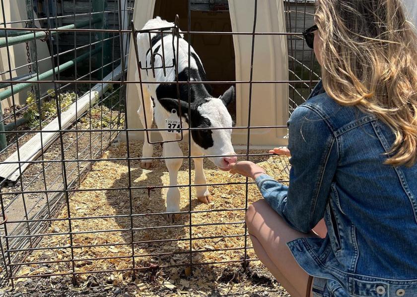 In the aftermath of a mass shooting earlier this year on the campus of Michigan State University, the university’s dairy has served as a place for comfort by inviting students to de-stress by petting MSU cows and calves.