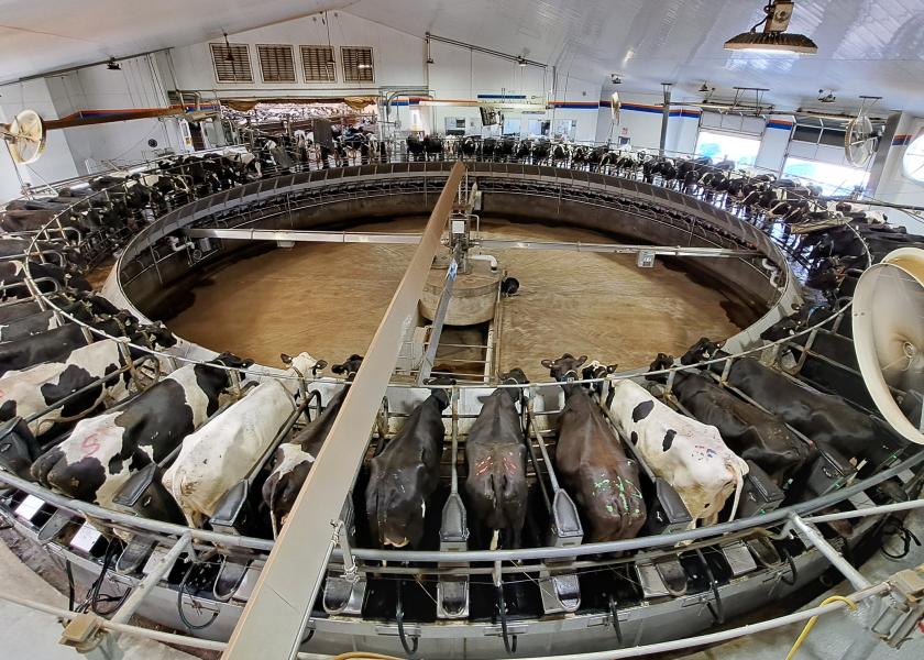 According to the latest U.S. Milk Production Report the number of milk cows on farms in the U.S. was 9.36 million head, 44,000 head less year-over-year and 10,000 head less than in October 2023.