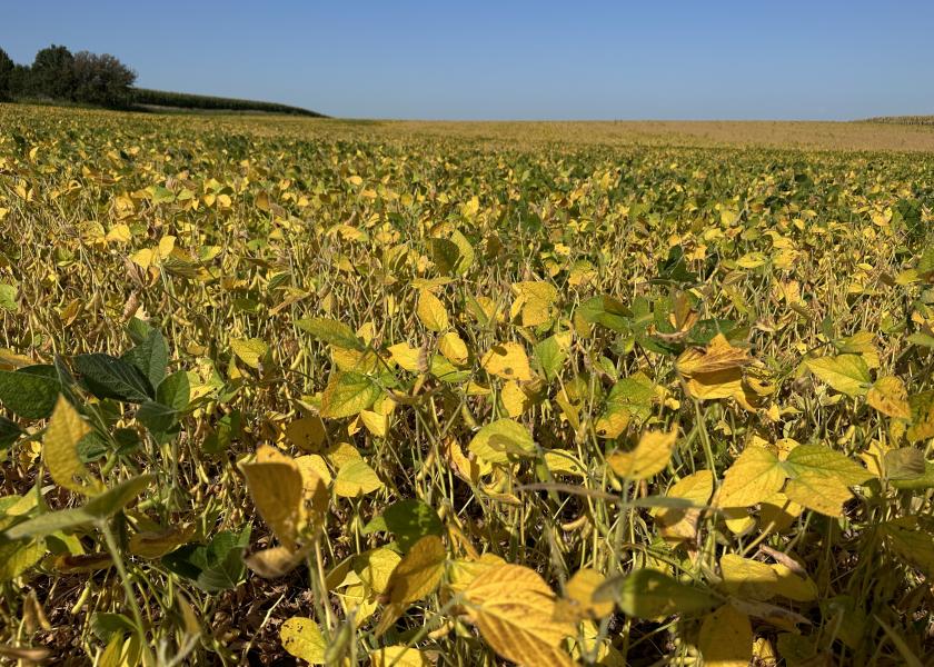 Field By Field and Ear By Ear: Pro Farmer Crop Tour Summarized in Two Videos